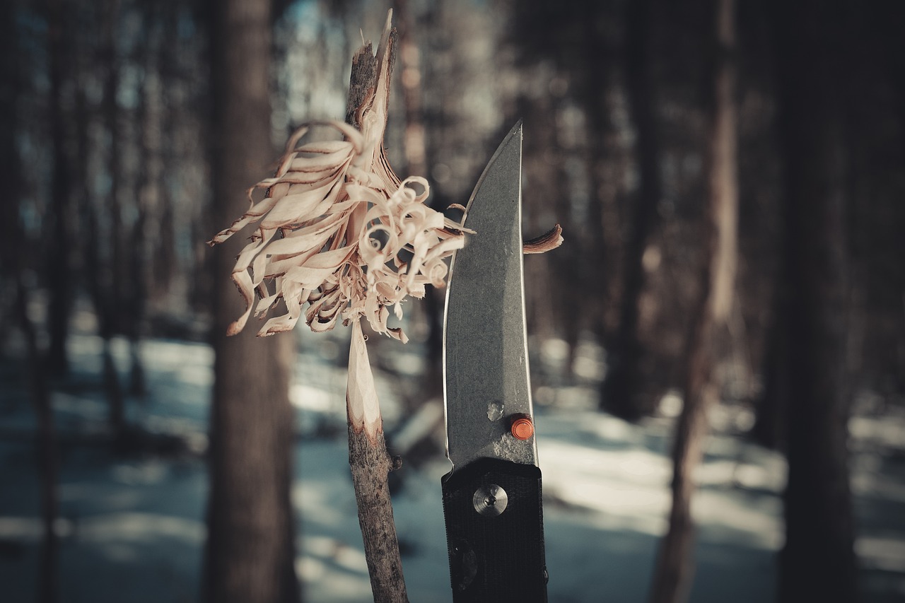 Free Bushcraft Knife photo and picture