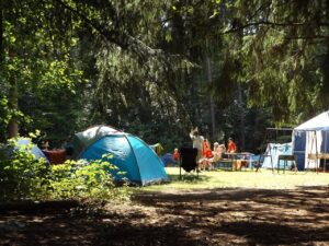 Free Camp Forest photo and picture