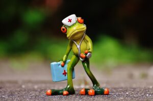 Free Frog Figure photo and picture