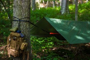 Free Outdoor Hammock photo and picture